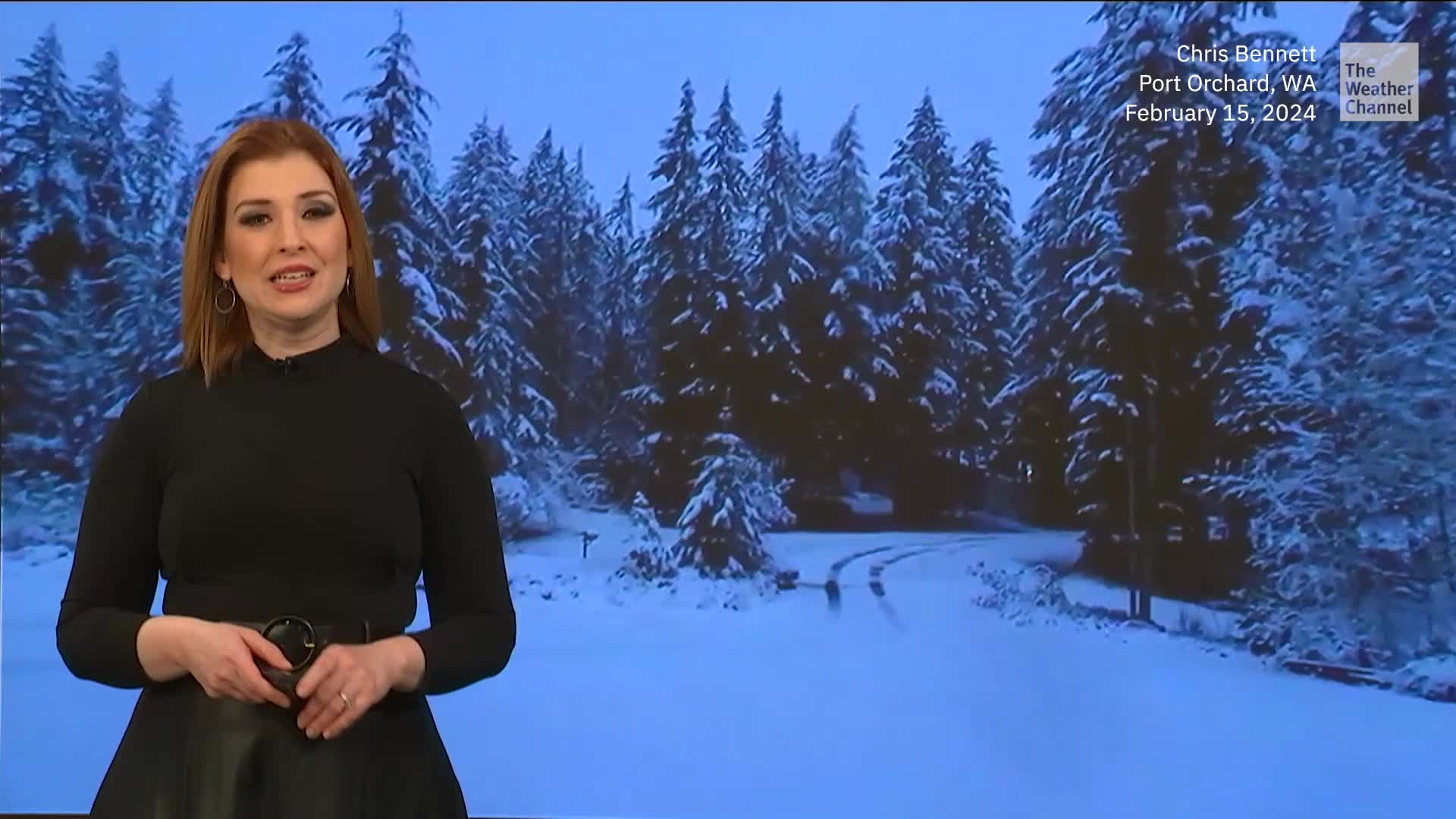 Surprise! Washington State Digs Out From Overnight Snow