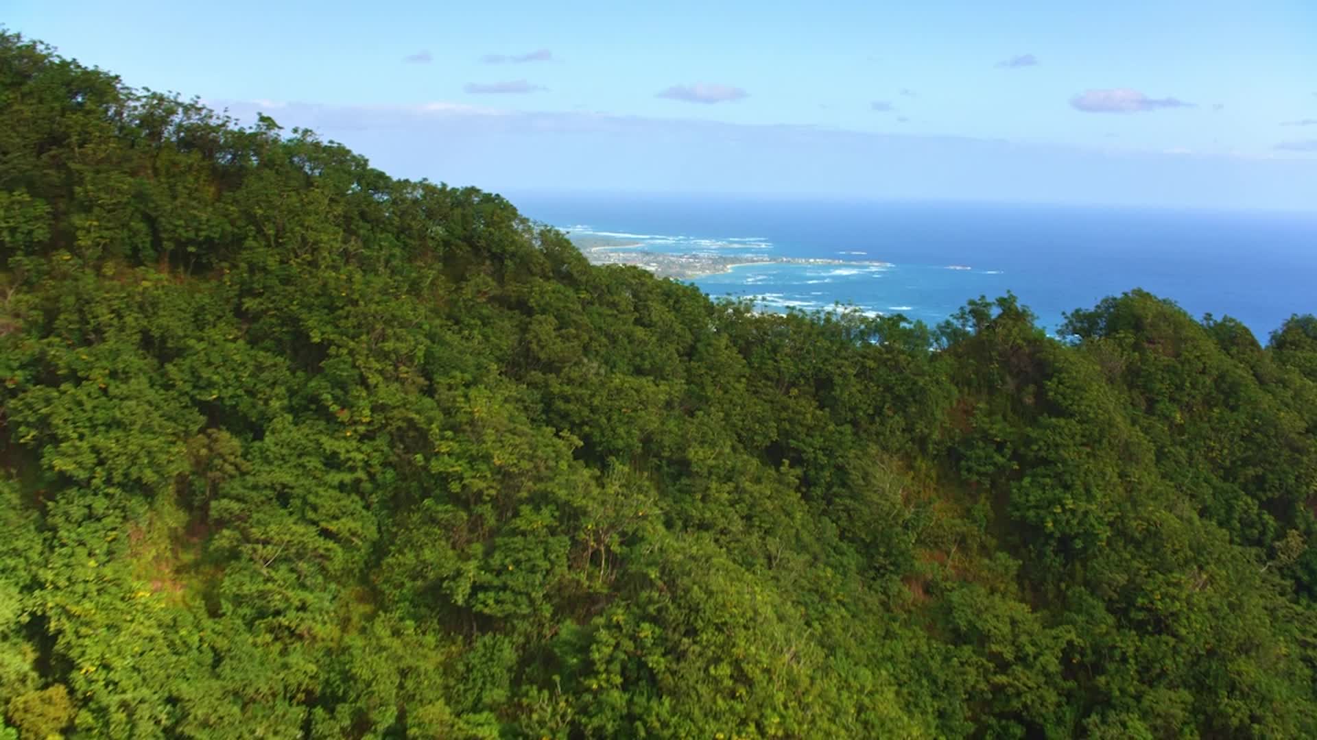 Survivor Of 1,000-Foot Fall Has Message For Hikers