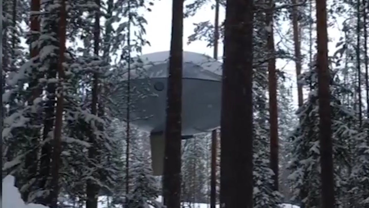 Sweden Has A Tree Hotel And It's Amazing