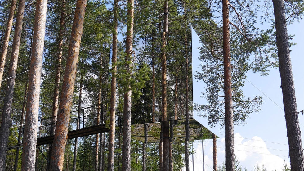 Sweden Has A Tree Hotel And It's Amazing