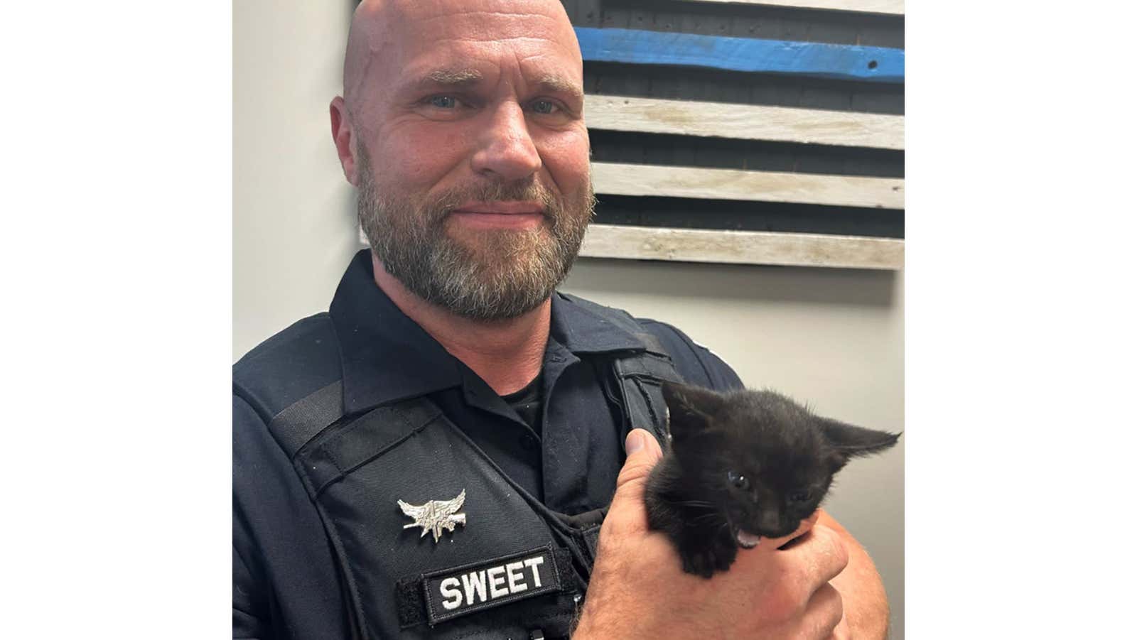 Purrfect timing: Culpeper officers rescue kitten during Sunday patrol