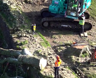 Sycamore Gap Tree Cut Again, Moved To Secret Location