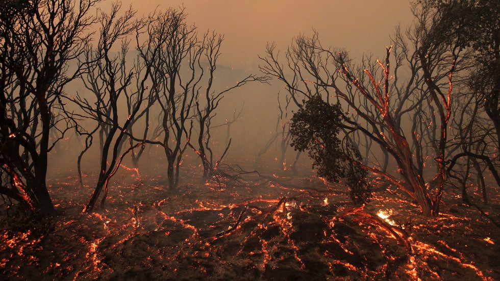 Syria to Enter Climate Agreement