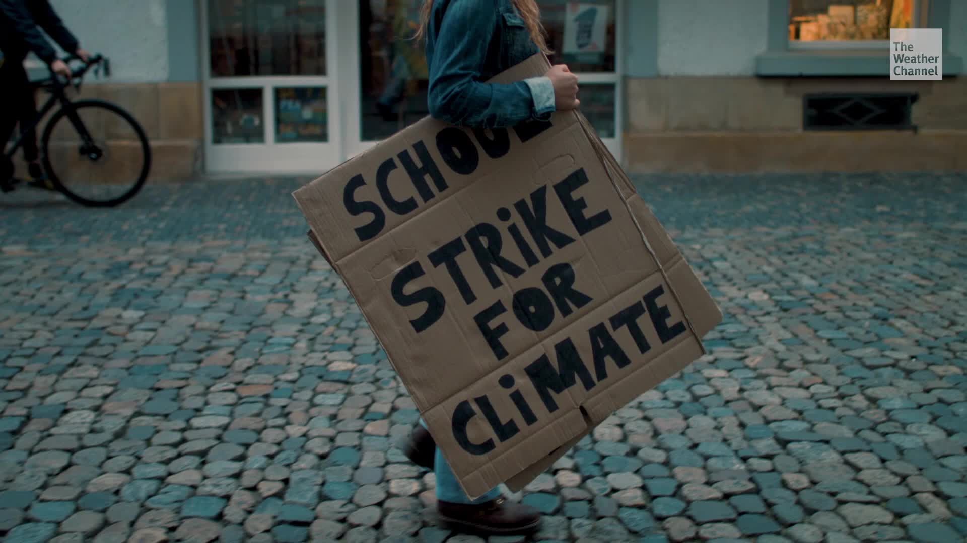 Terrible Year For The Environment, But Some Good Things Happened