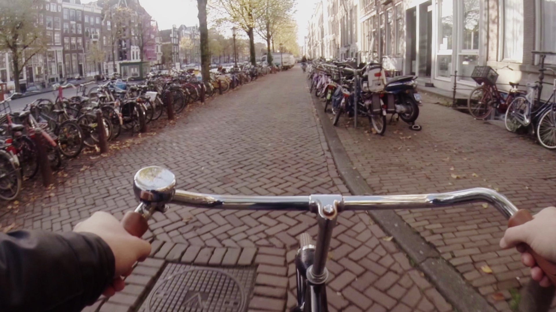 The Amount Dutch People Cycle Is Like Planting 54 Million Trees a Year