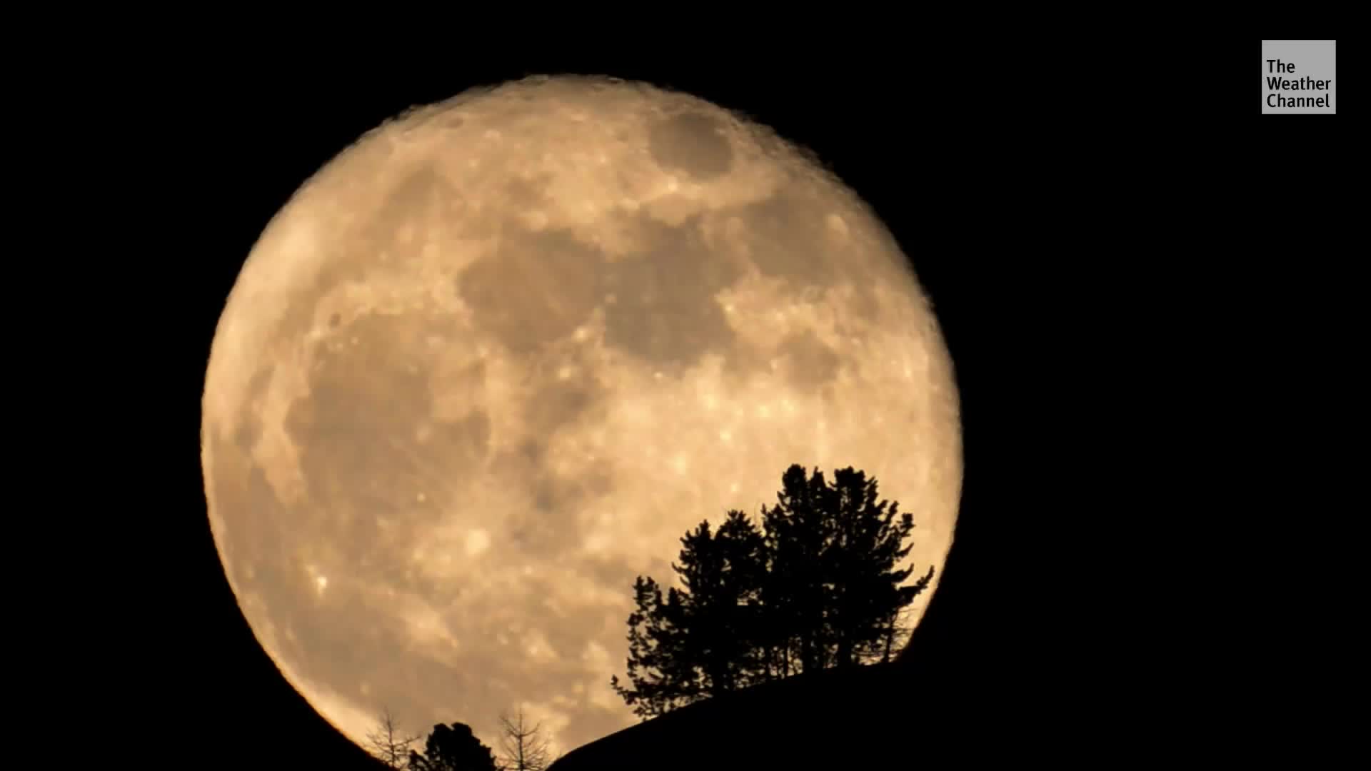 The Brightest Supermoon of the Year Is Coming This Week
