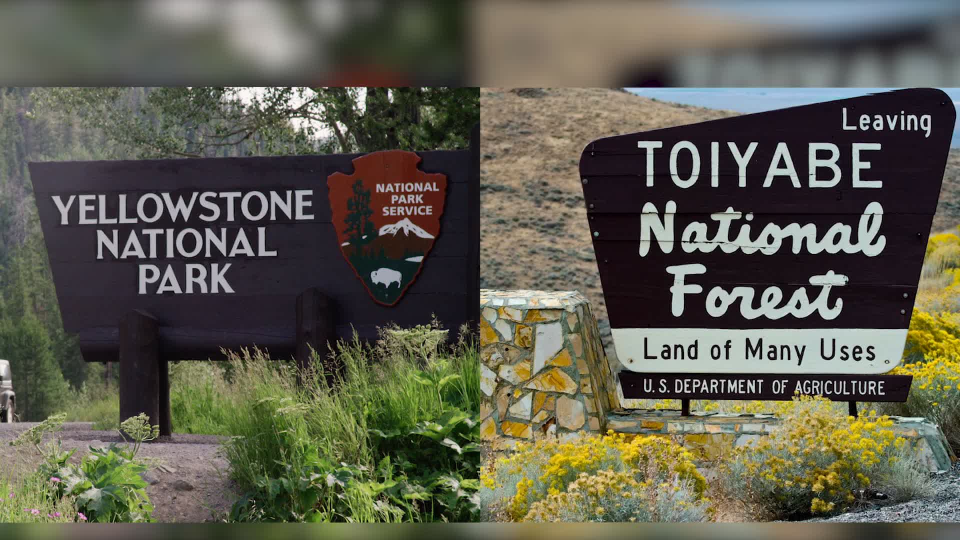 The Difference Between National Parks And National Forests