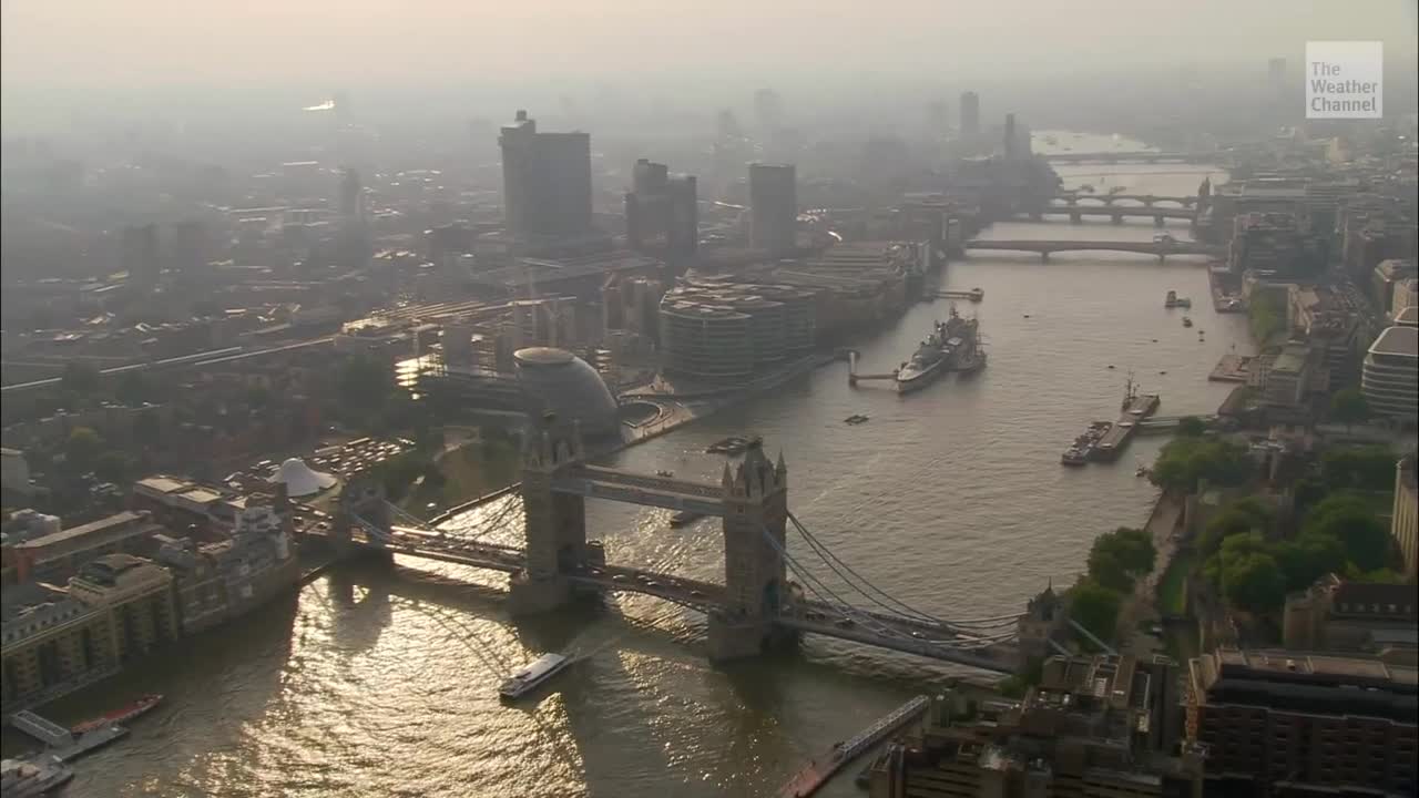 The River Thames Has Been Invaded by Venomous Sharks, and Ecologists Are Thrilled