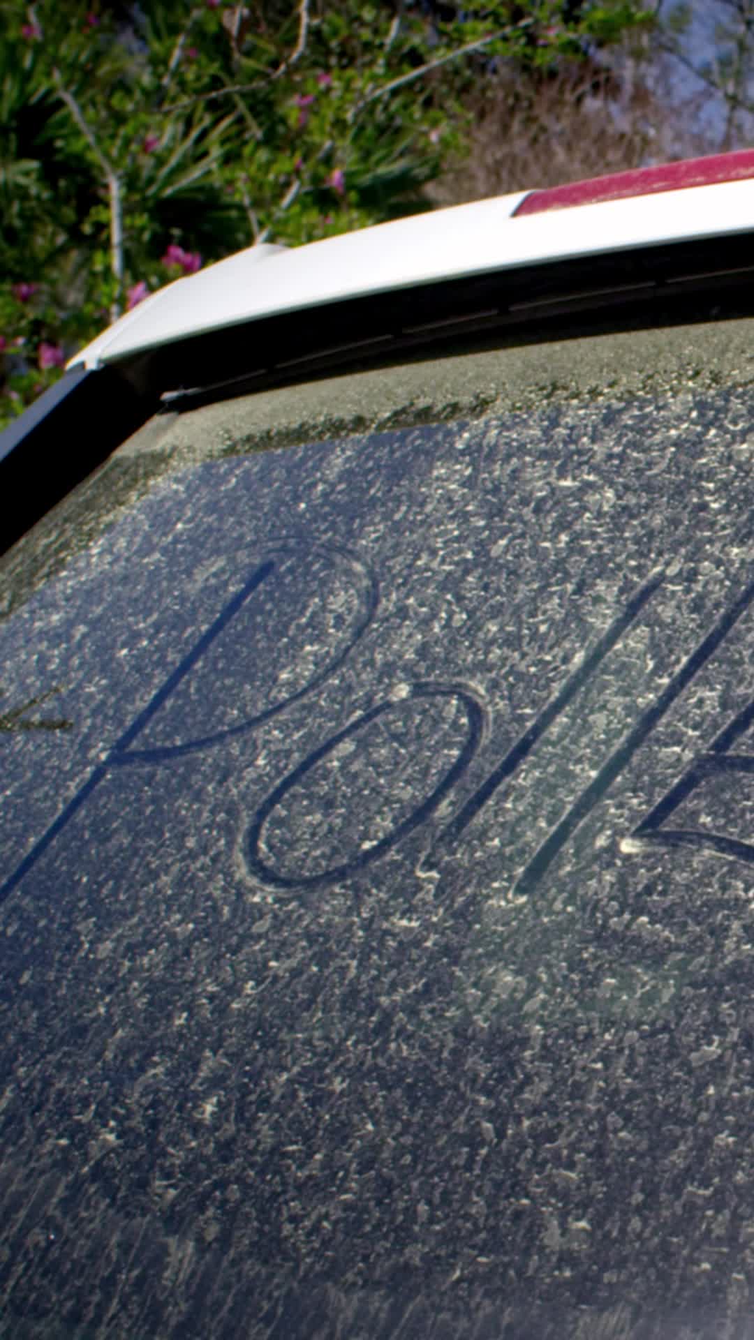 The Secret Life Of Pollen