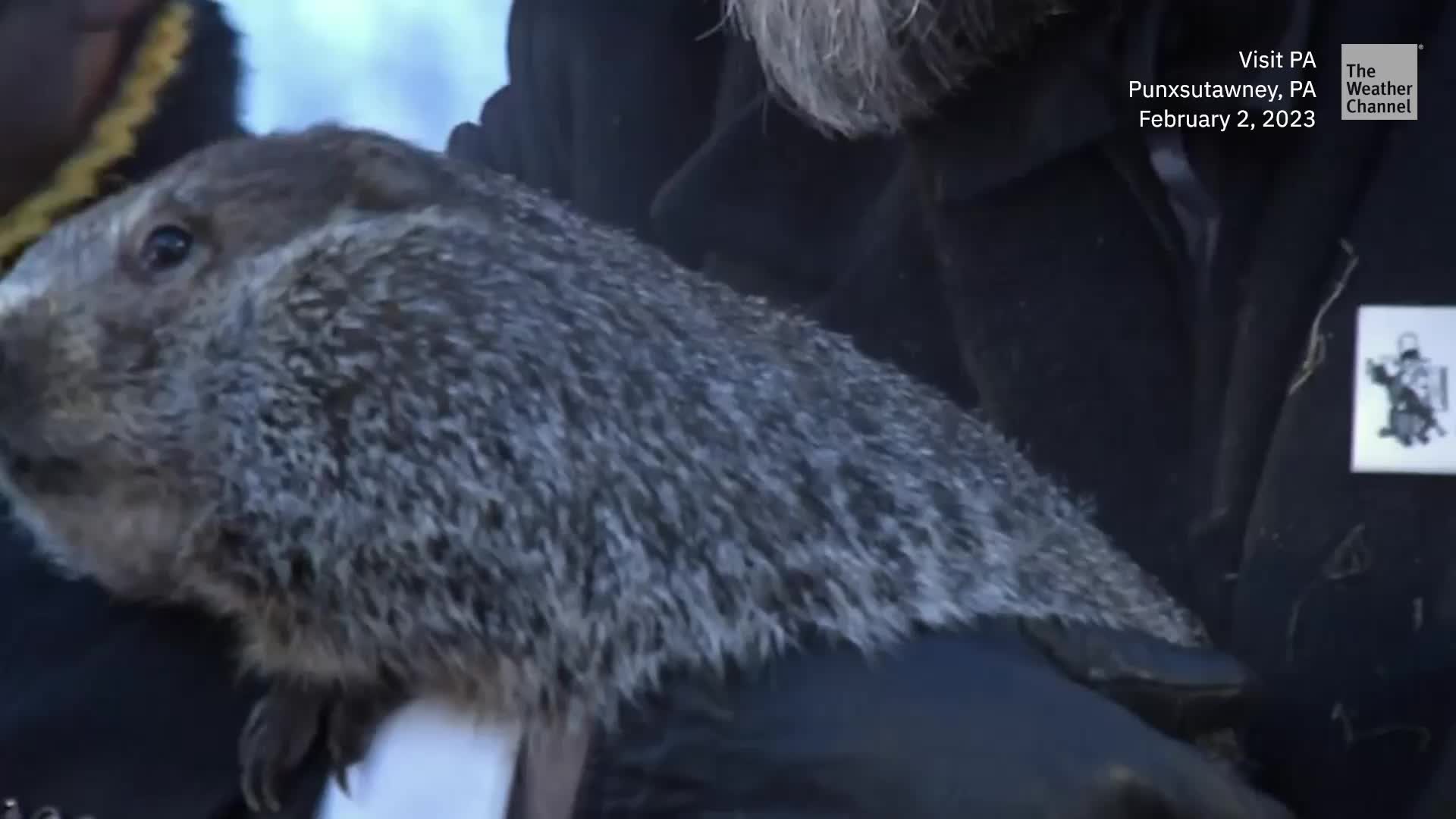 The Wild Side Of Winter Weather Forecasting