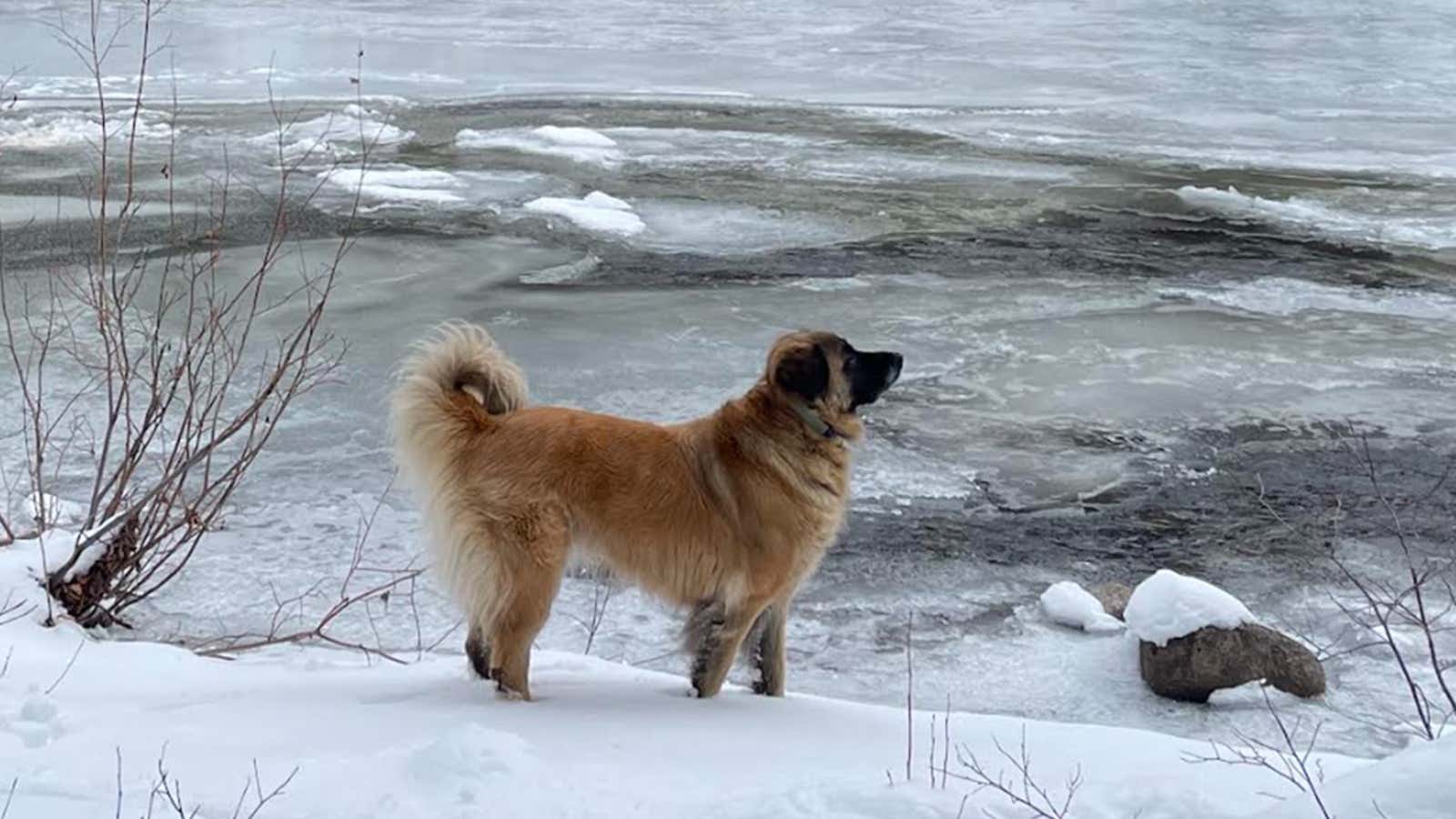 Weather buddies: Meet Thelma