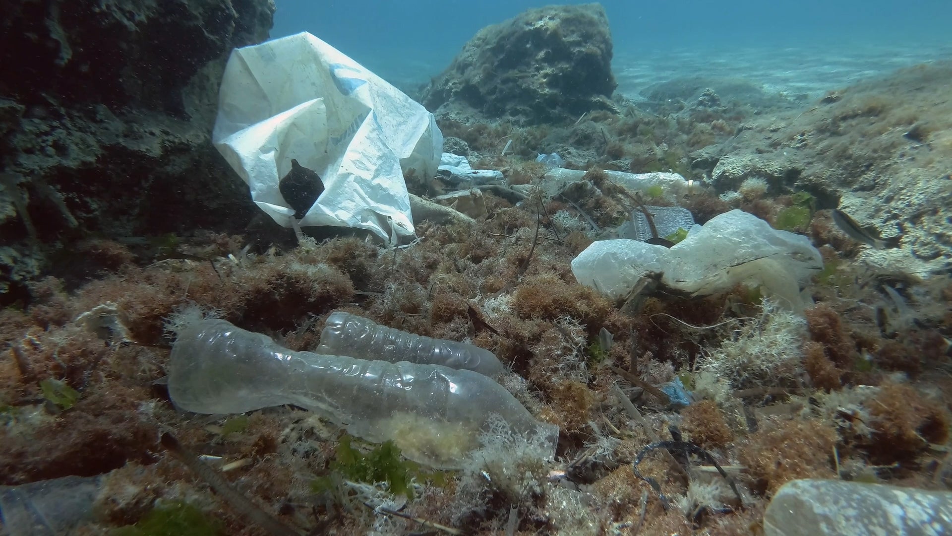 There Might Be A Million Times More Plastic in Oceans Than We Thought
