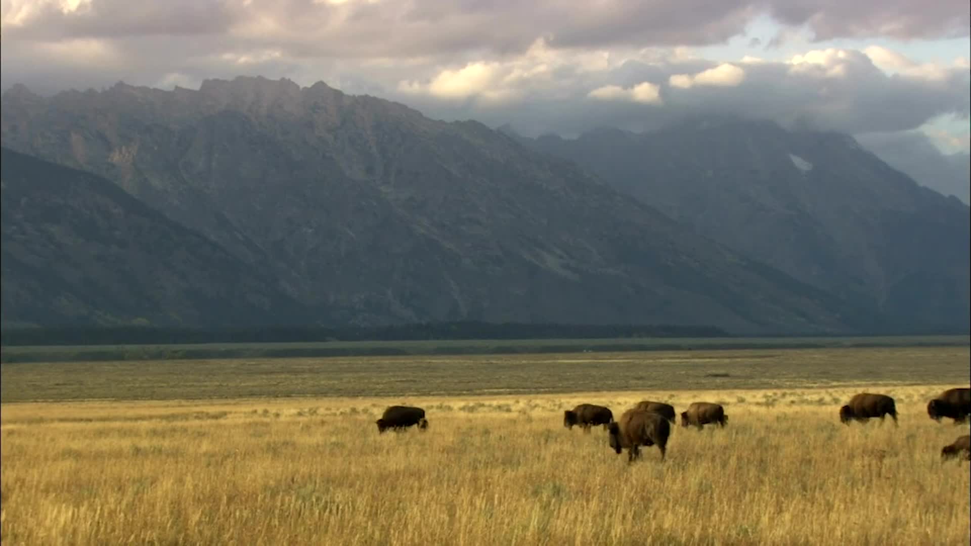 These Are The Deadliest National Parks In The U.S.