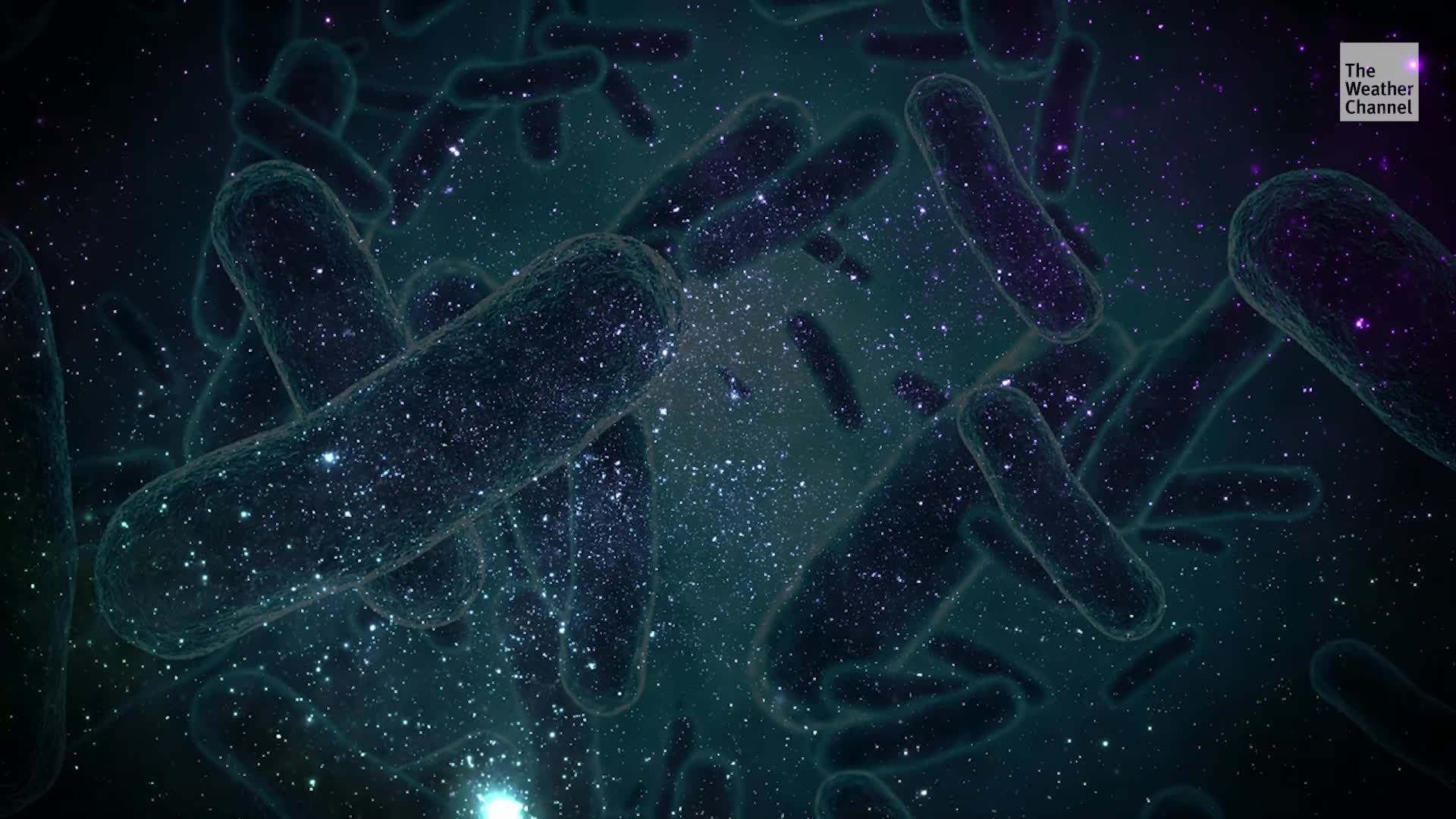 This Bacteria Can Survive Space &mdash; And Prevent Sunburn