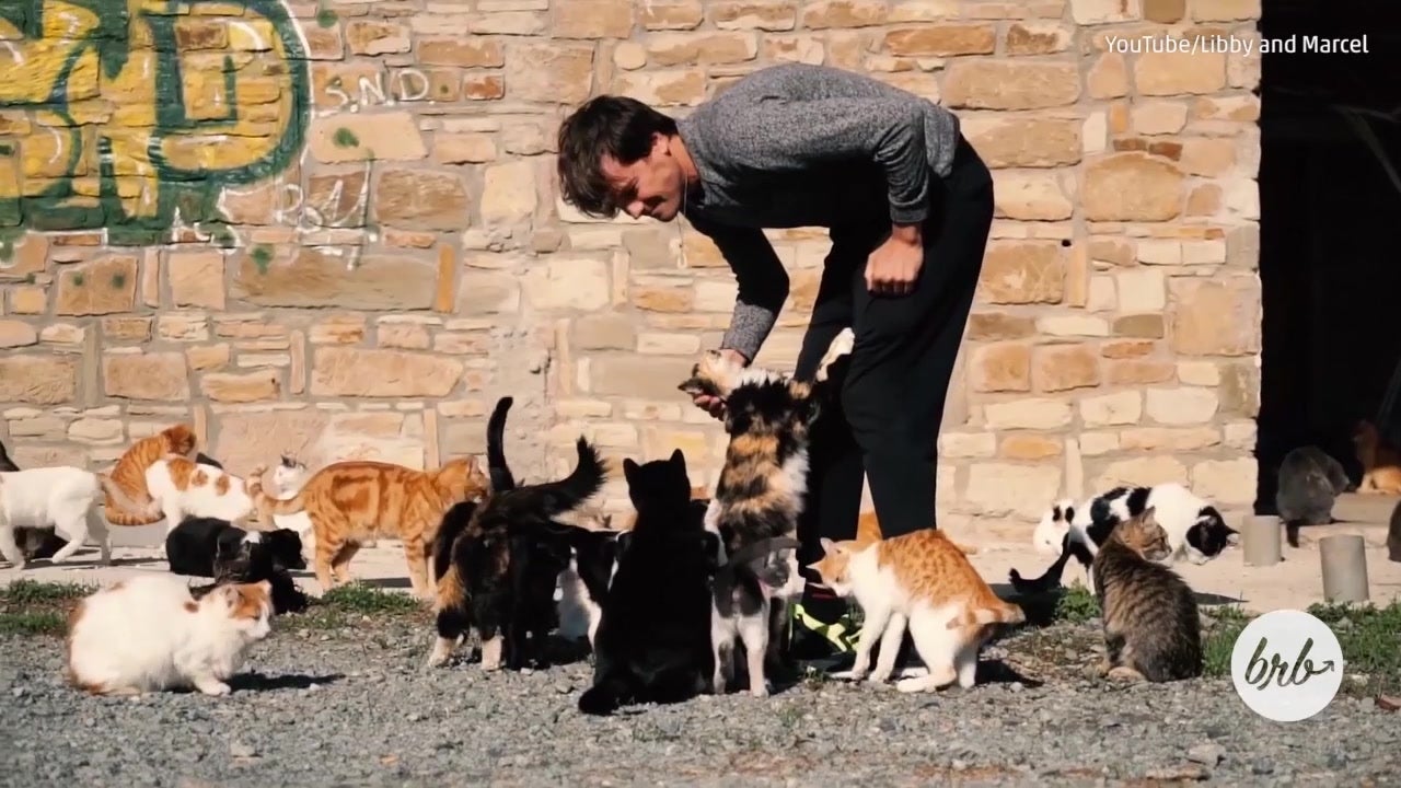 This Cyprus Monastery is Overrun With Cats