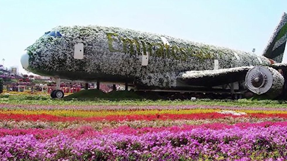 This Garden Has Millions Of Flowers