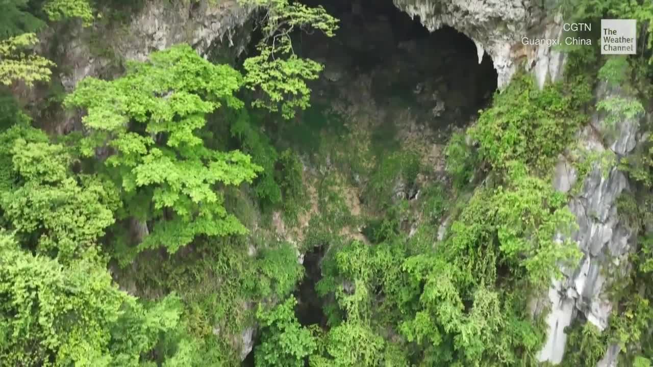This Giant Sinkhole Has Its Own Forest