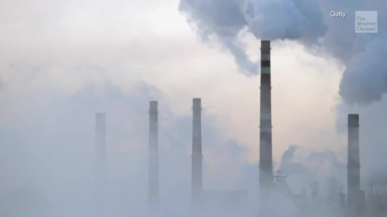 Thousands of Scientists Declare 'Climate Emergency'