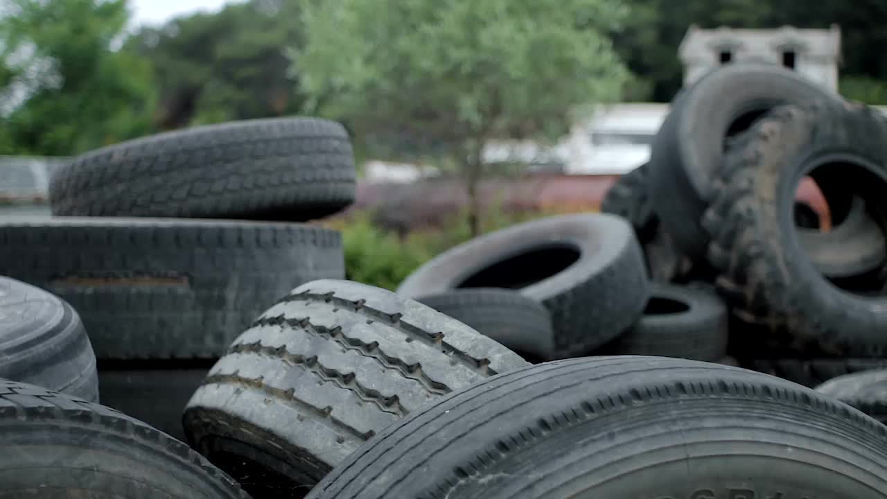 Tire Microplastics Polluting San Francisco Bay, Study Finds