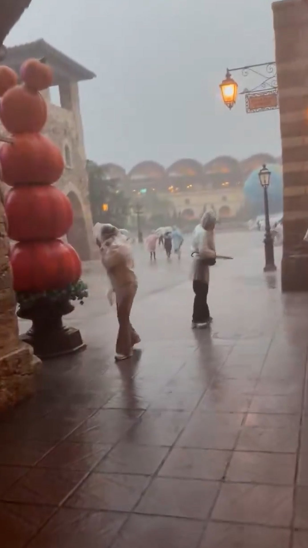 Typhoon says bibbidi-bobbidi-BYE