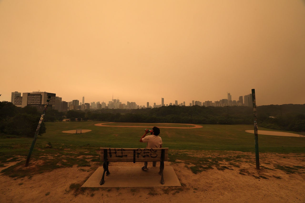 Person sitting on a graffiti-covered bench overlooking a park and city skyline under an orange sky