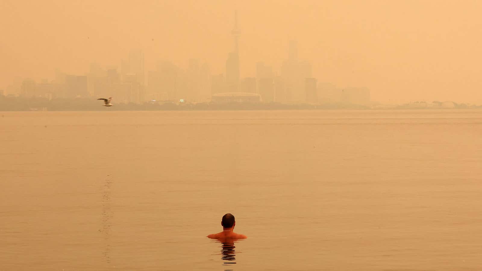 A lone swimmer in calm water faces a hazy city skyline under an orange sky