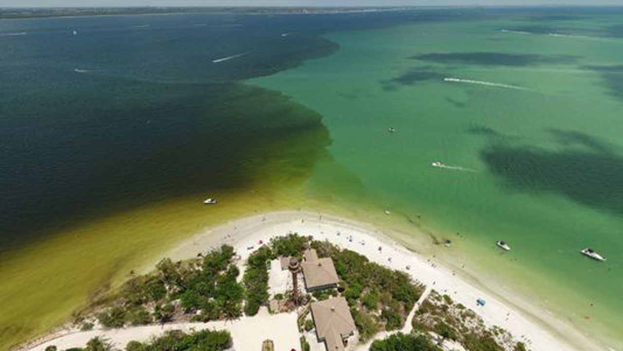 Toxic Algae Found in Florida’s Lake Okeechobee
