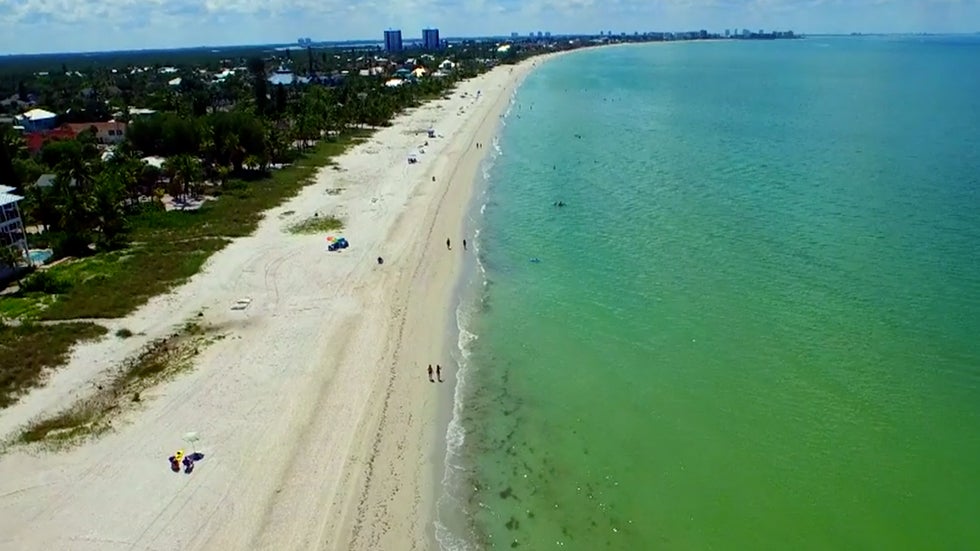 Toxic Algae in Florida Causing Illnesses?