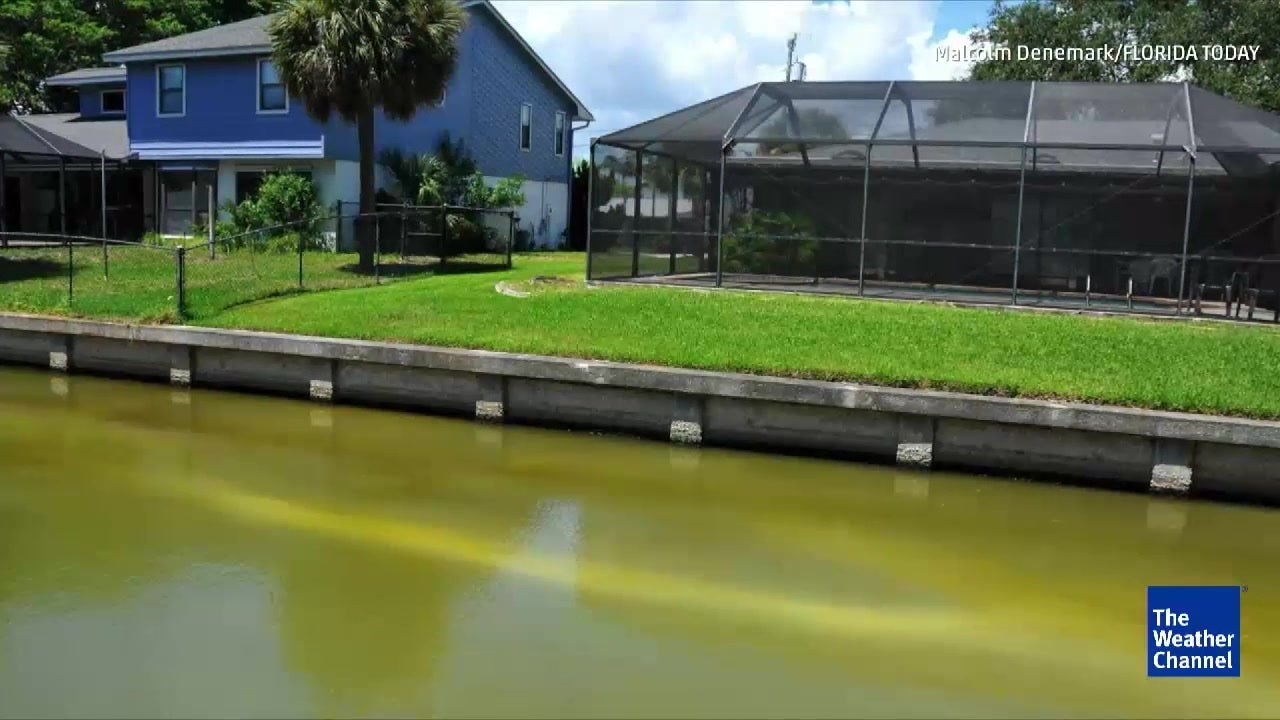 Toxic Algae in Florida Spreads from Water to Air