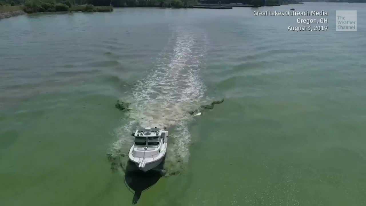 Toxic Algae on Lake Erie; People, Pets Urged to Stay Out