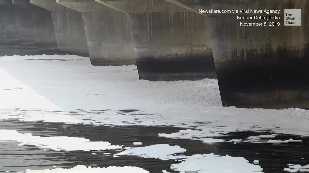 Toxic Foam Continues to Blanket India’s Sacred River in New Delhi
