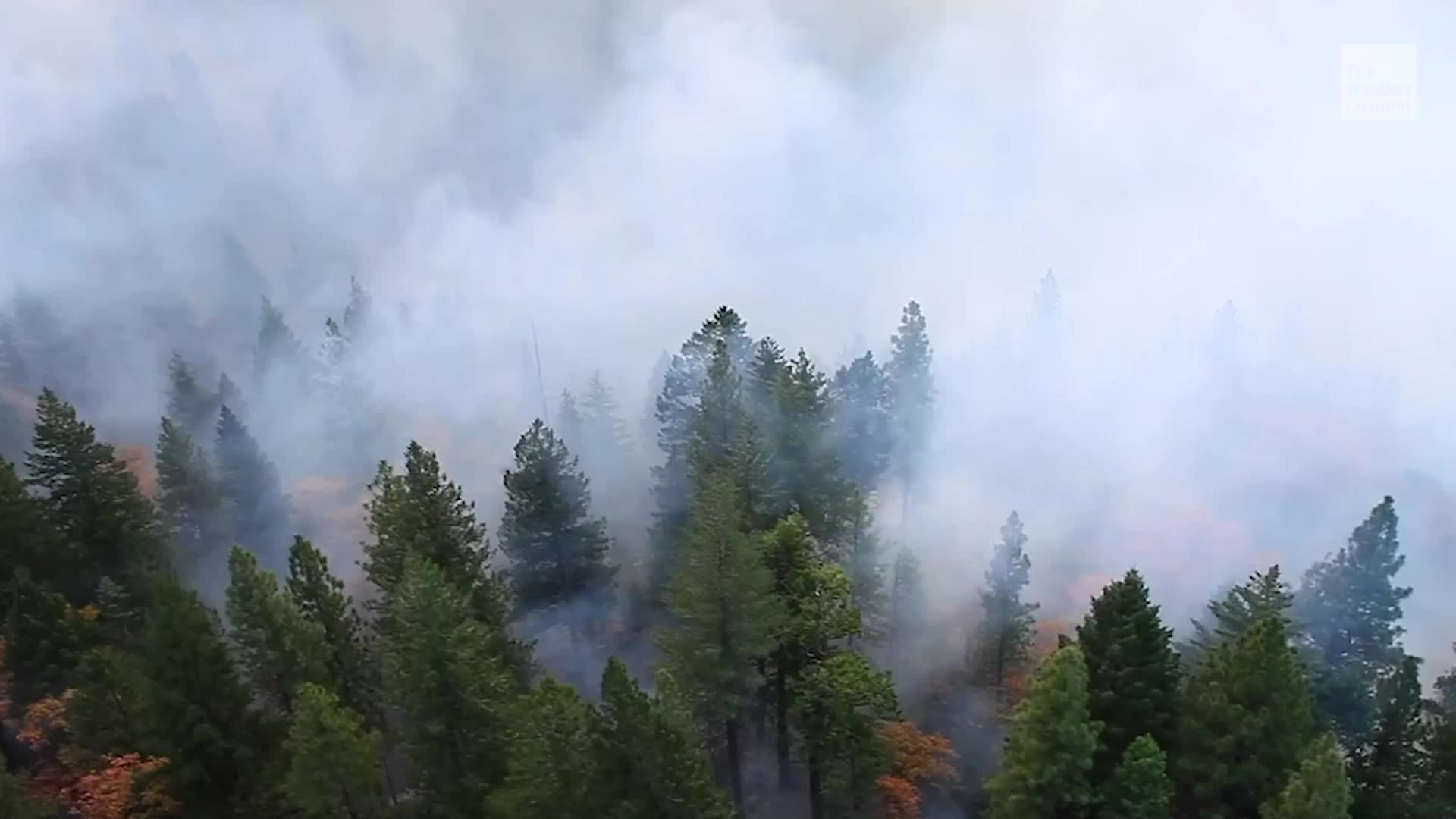 Toxic Lead Found in California Wildfire Smoke, Study Finds