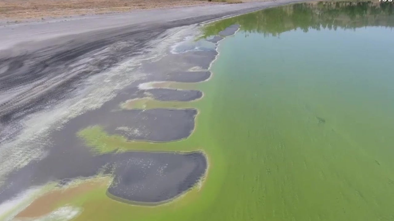 Toxic Trouble in California