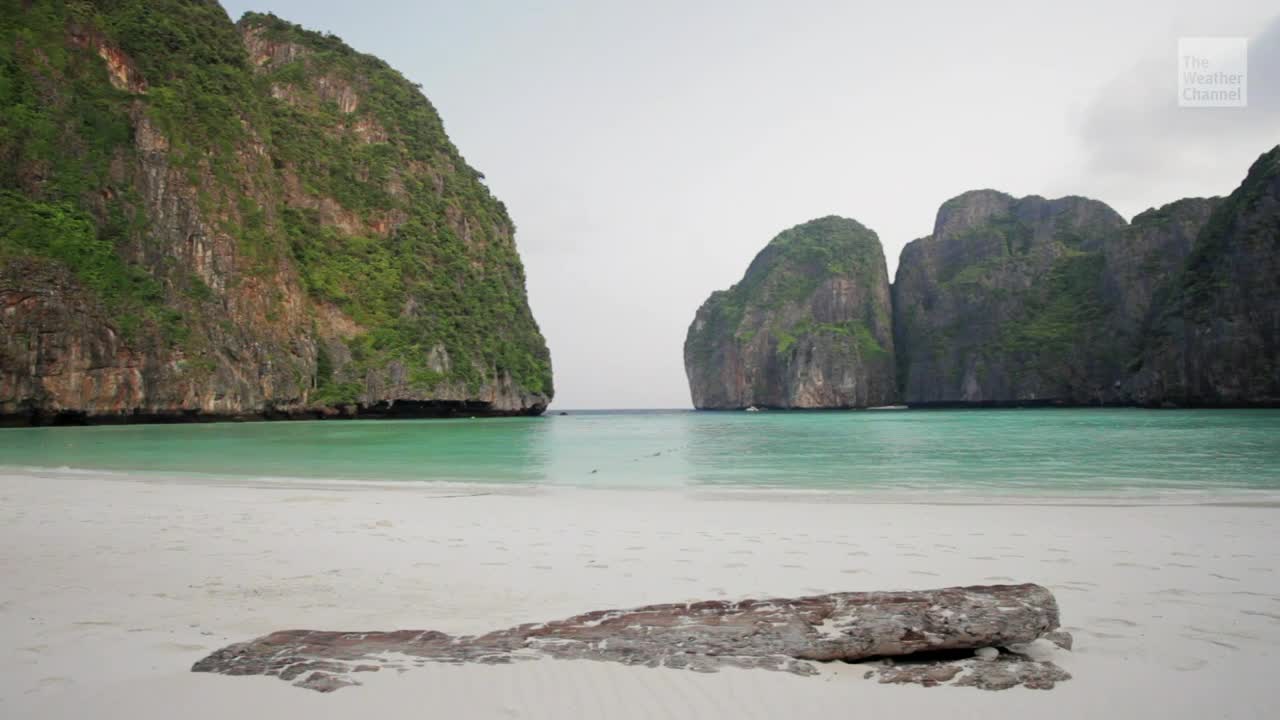 Trashed After DiCaprio Movie, 'The Beach' Reopens