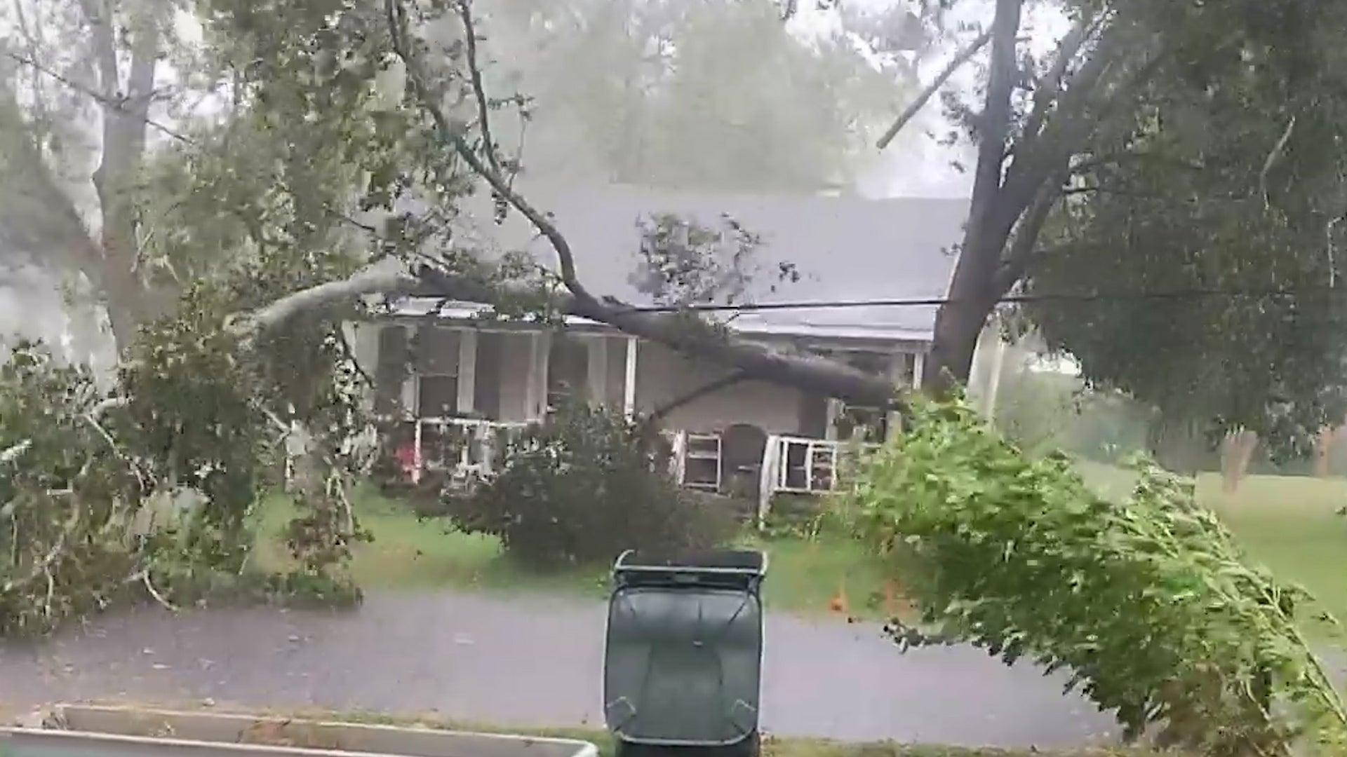 High winds, lightning split open trees in Alabama