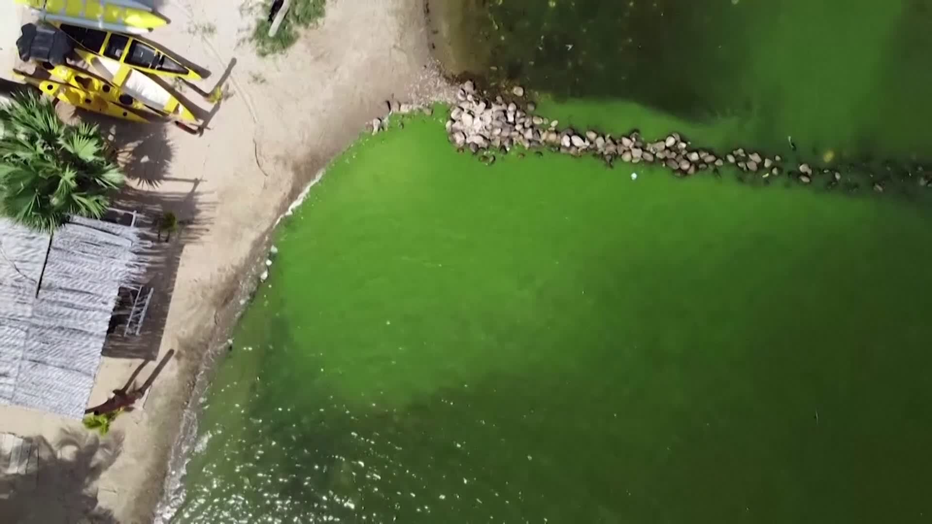 Ugly Reason Venezuelan Lake has Turned Green