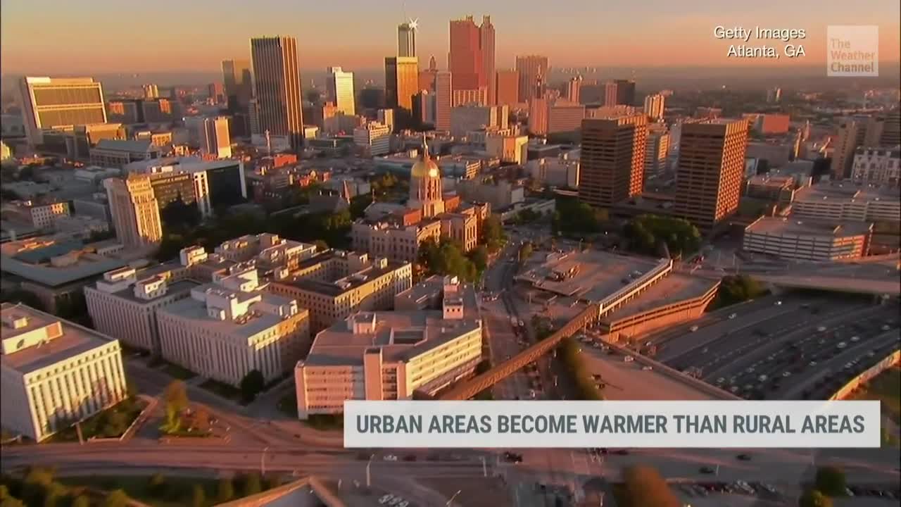 Urban Heat Islands Trick Trees into Turning Green Earlier