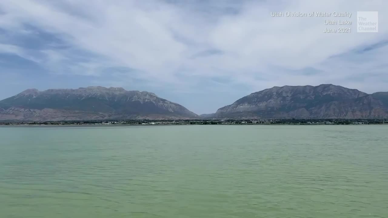 Utah Hit by Harmful Algae Blooms Amid Heat and Drought