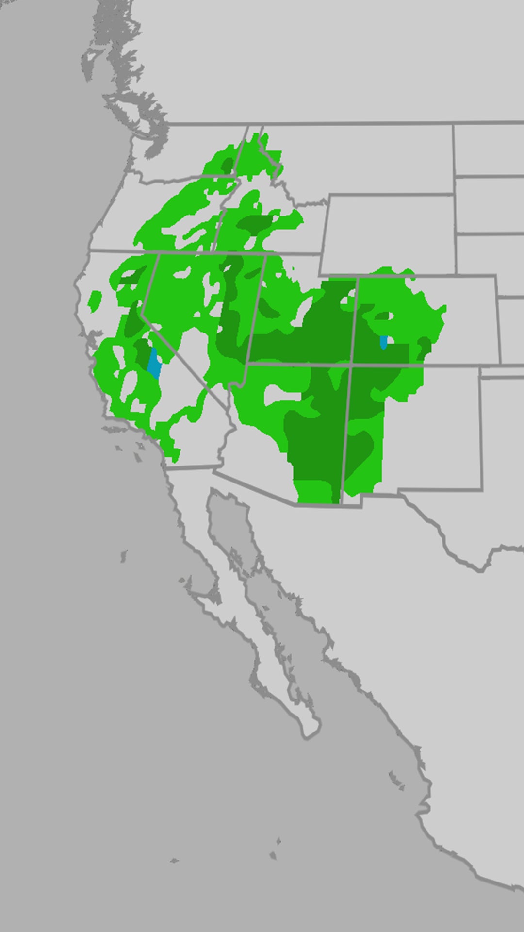 Rain, mountain snow for this week