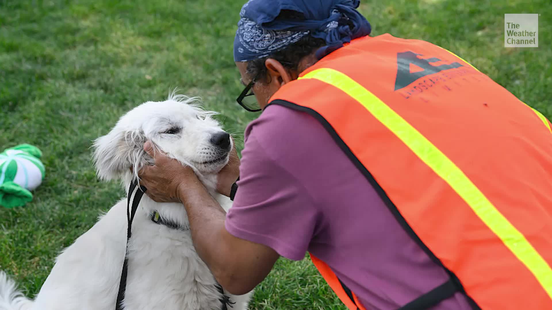 Hundreds of pets rescued from Aspen Acres Fire
