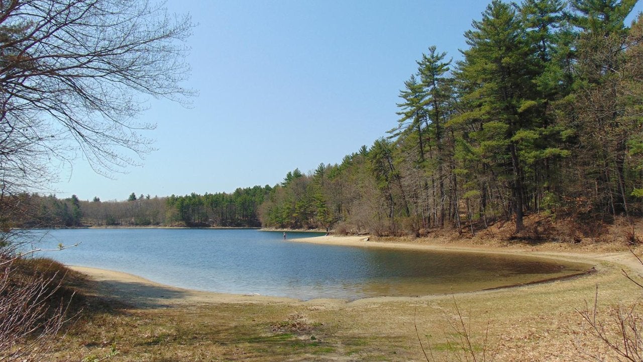 Visitors and Climate Change are Ruining Massachusetts’ Walden Pond