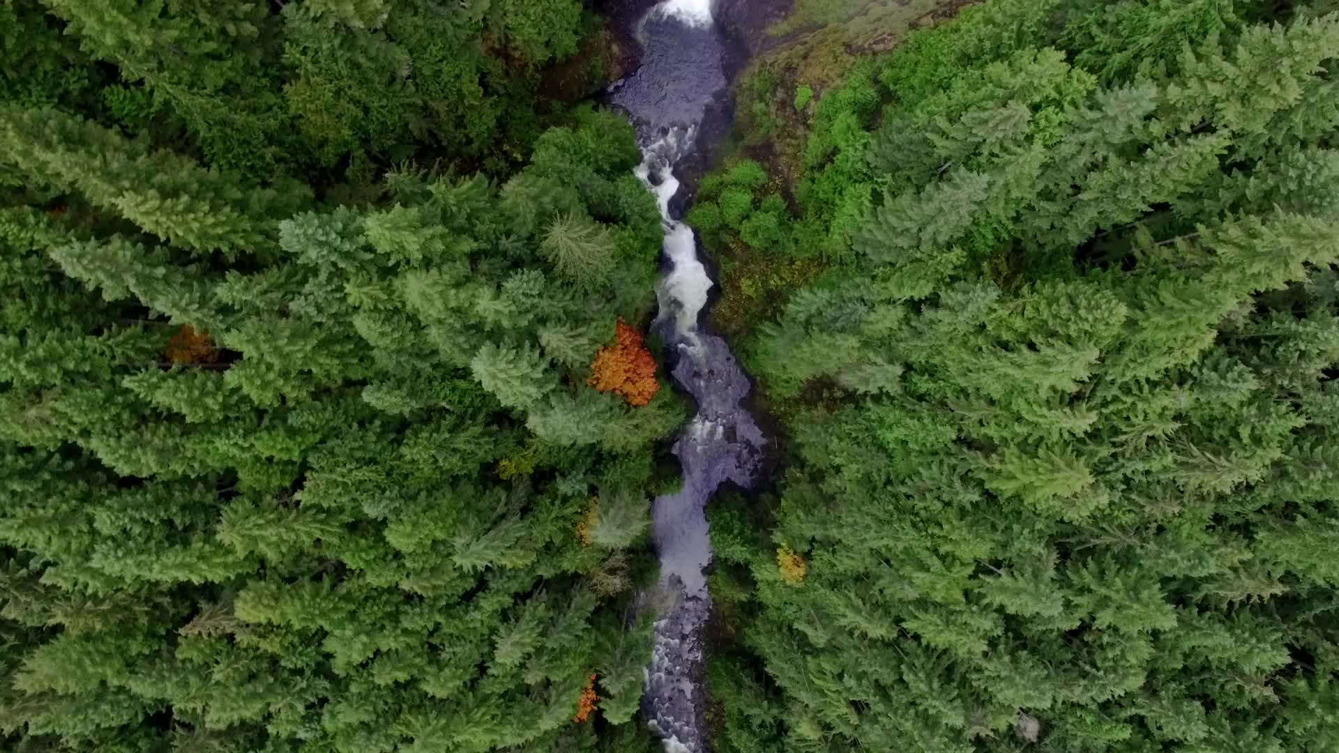 Washington State Takes Bold Stand Against Bottled Water Operations
