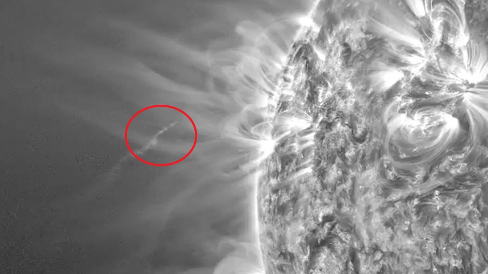 Watch a Comet Collide with the Sun