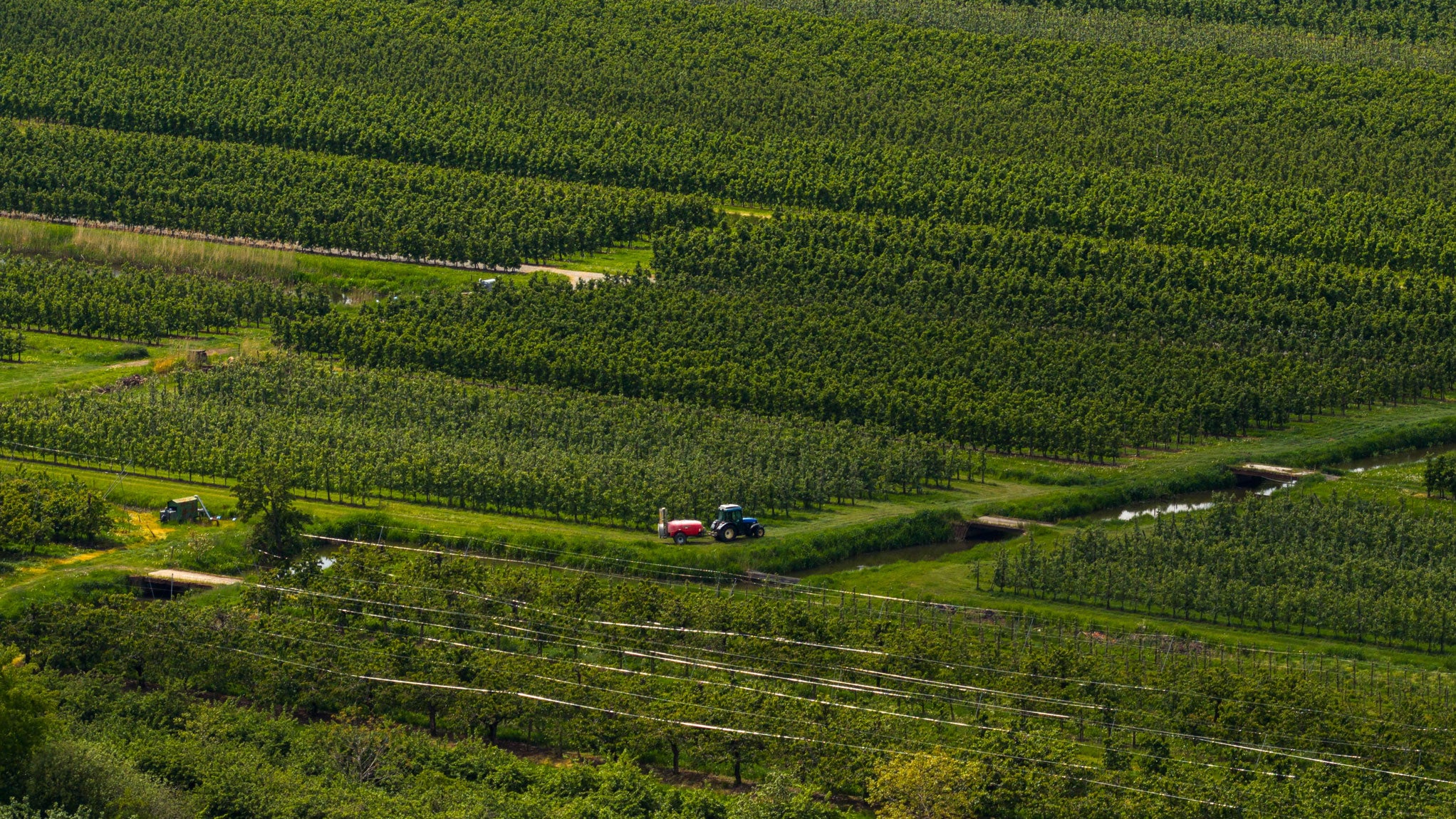 A tractor drives through an orchard in Lower Saxony, Jork, Germany, on May 19, 2026.