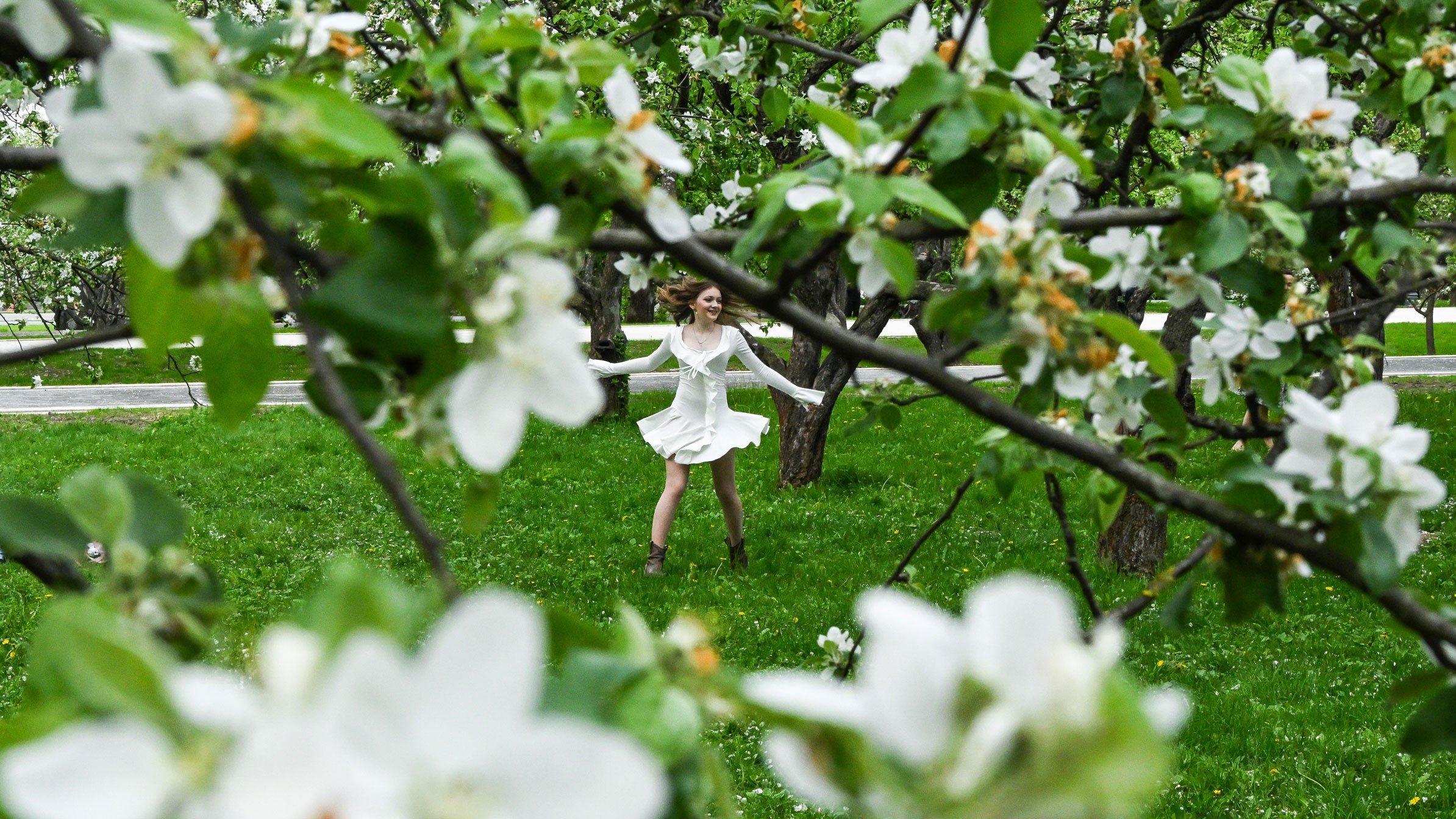 A young woman dances among blossoming apple trees in an apple orchard at the Kolomenskoye Museum-Reserve in Moscow on May 15, 2026.