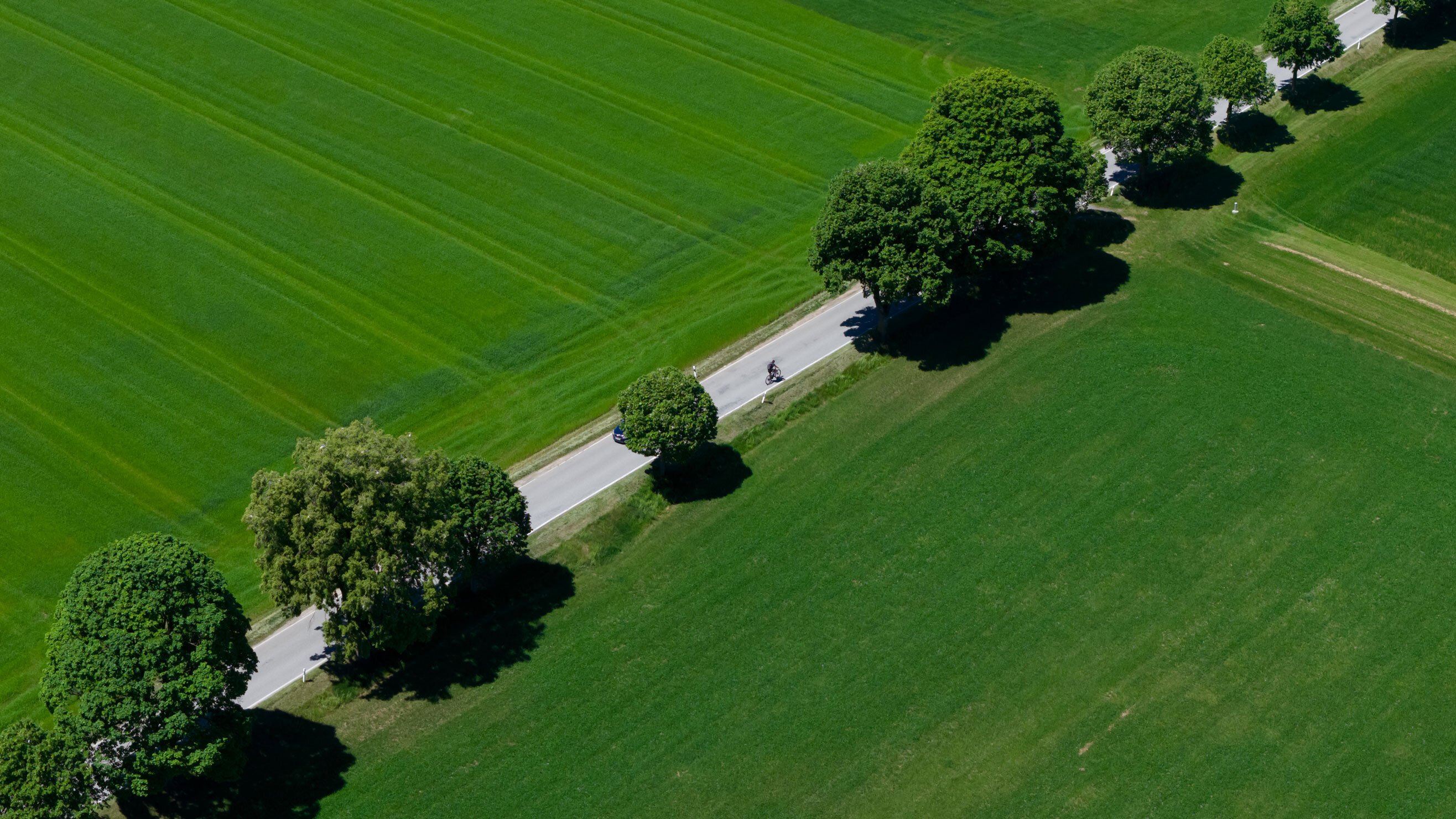 A cyclist rides along a country road past fields in the sun in Bavaria, Valley on May 29, 2026.