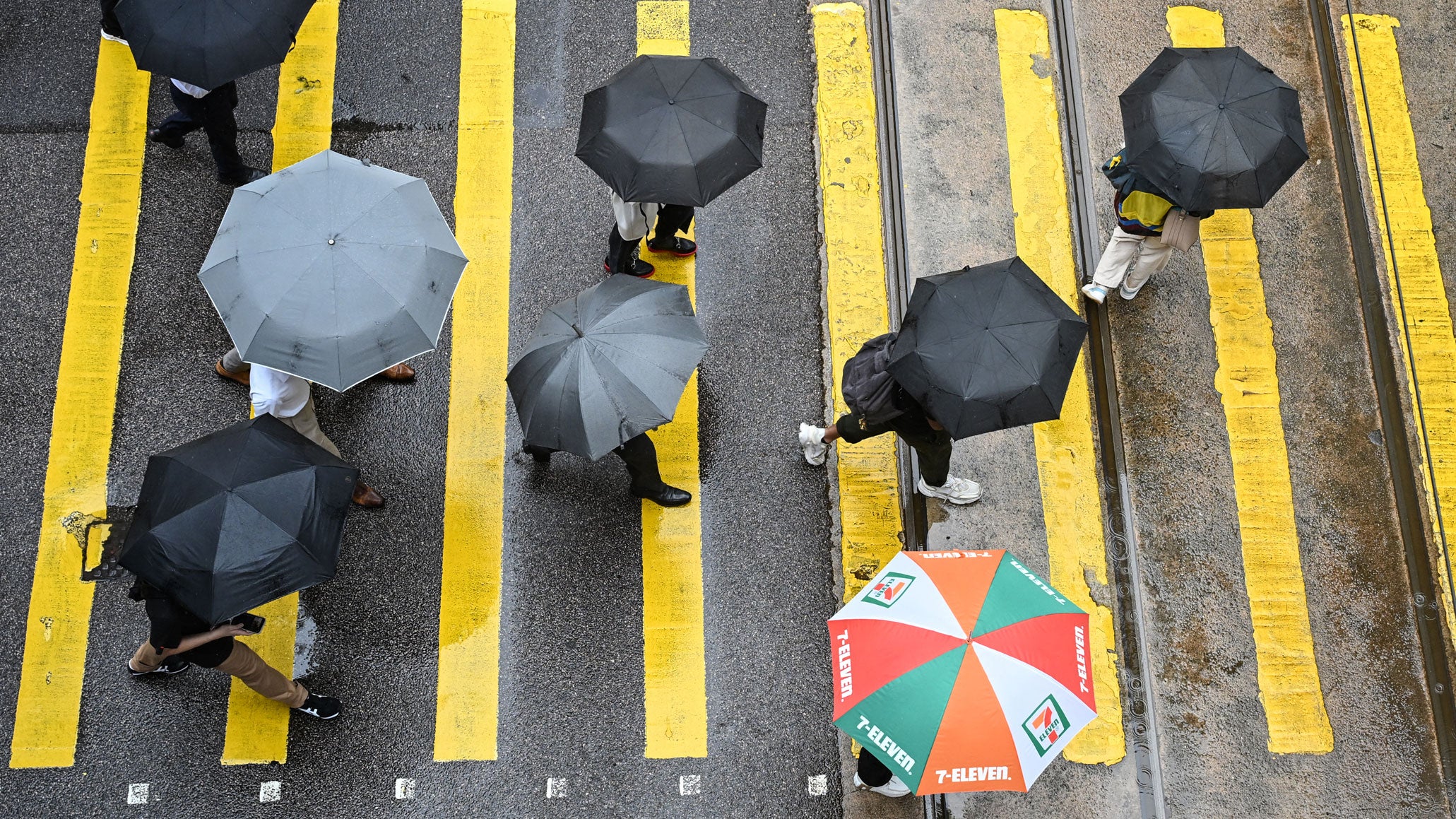 Pedestrians cross a street under umbrellas to shelter from the rain in Hong Kong on May 19, 2026.