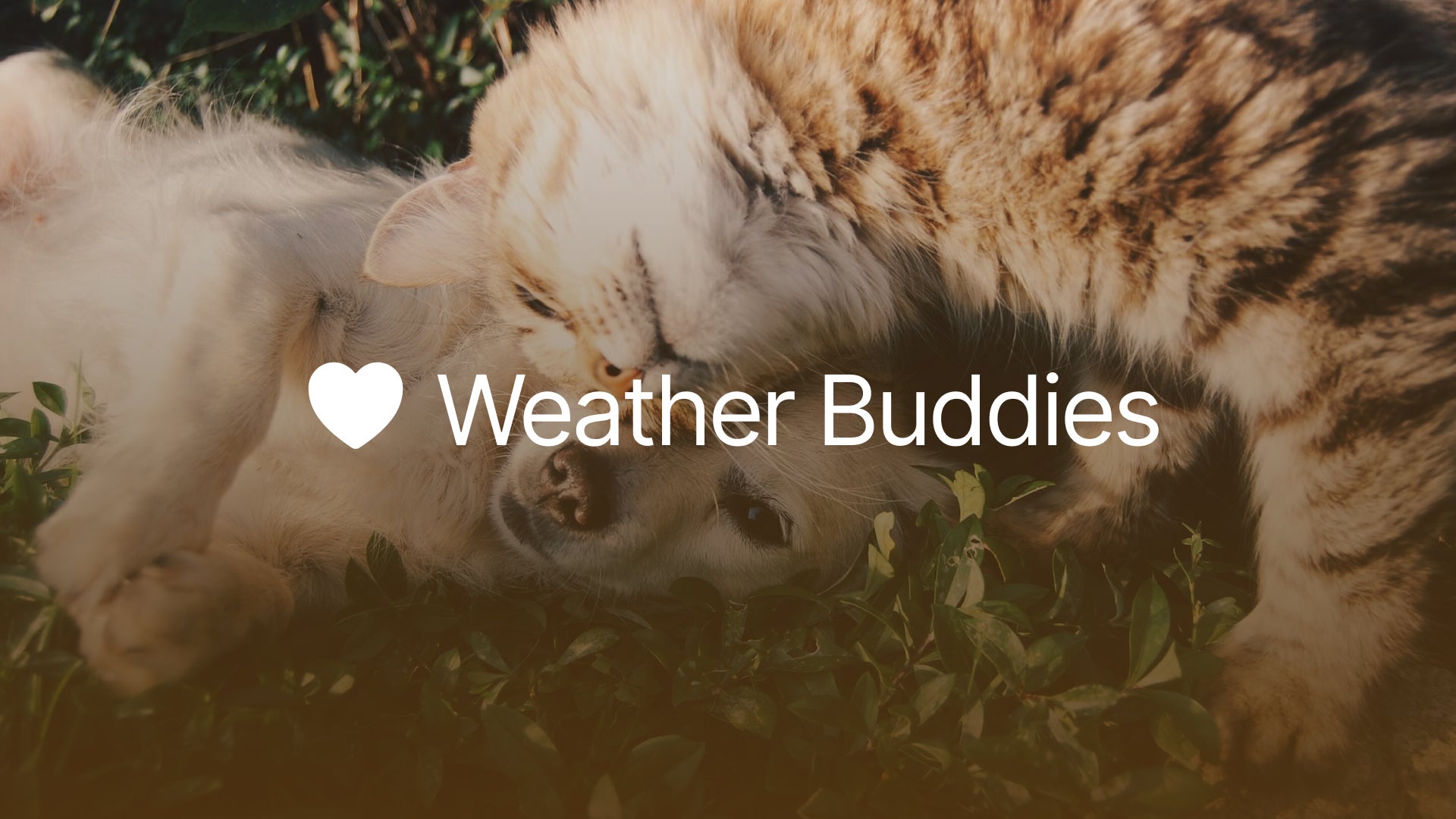 Weather Buddies logo
