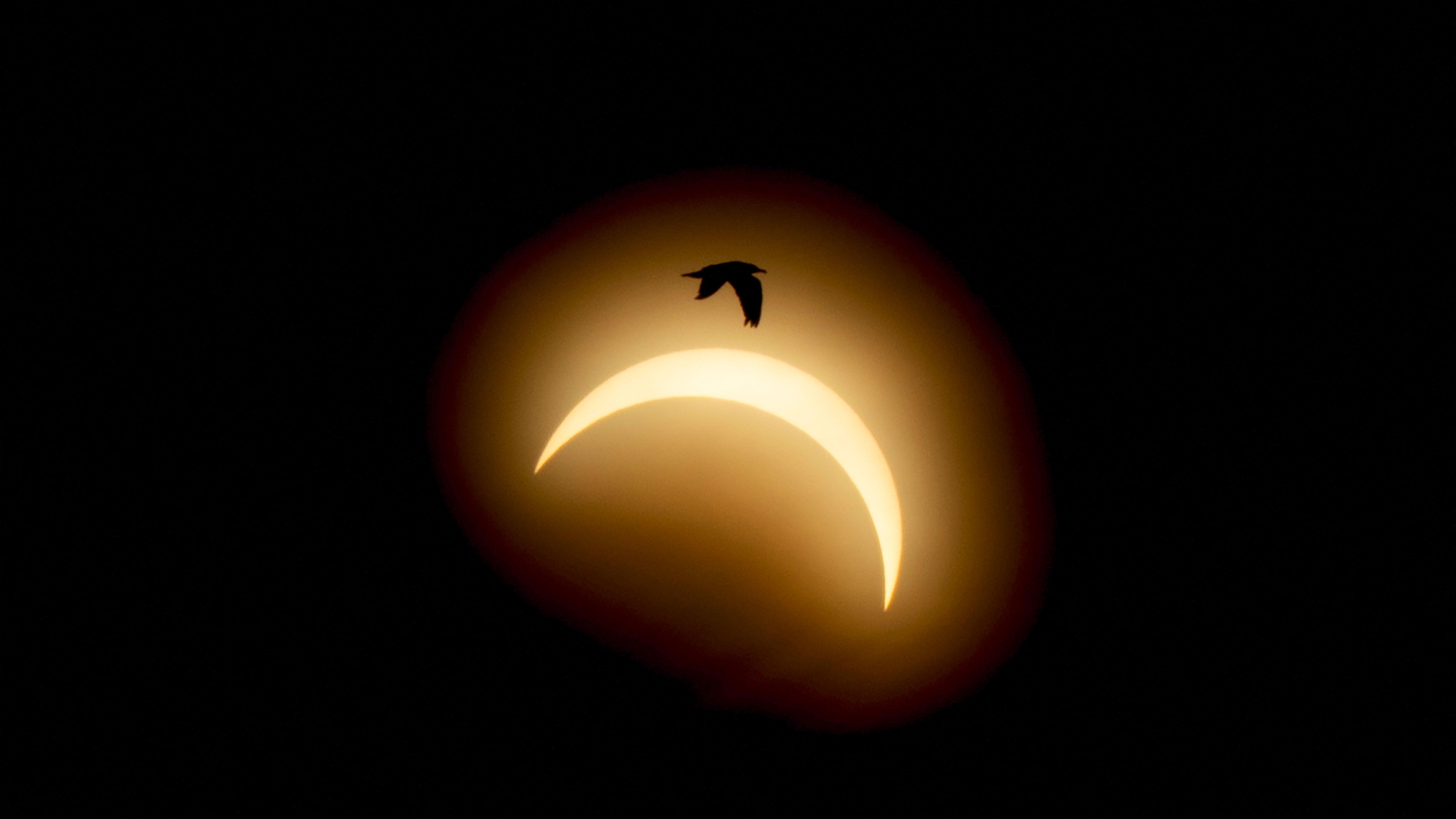 The partial solar eclipse as seen at the Mariager Fjord in Denmark, on Wednesday, Aug. 12, 2026.