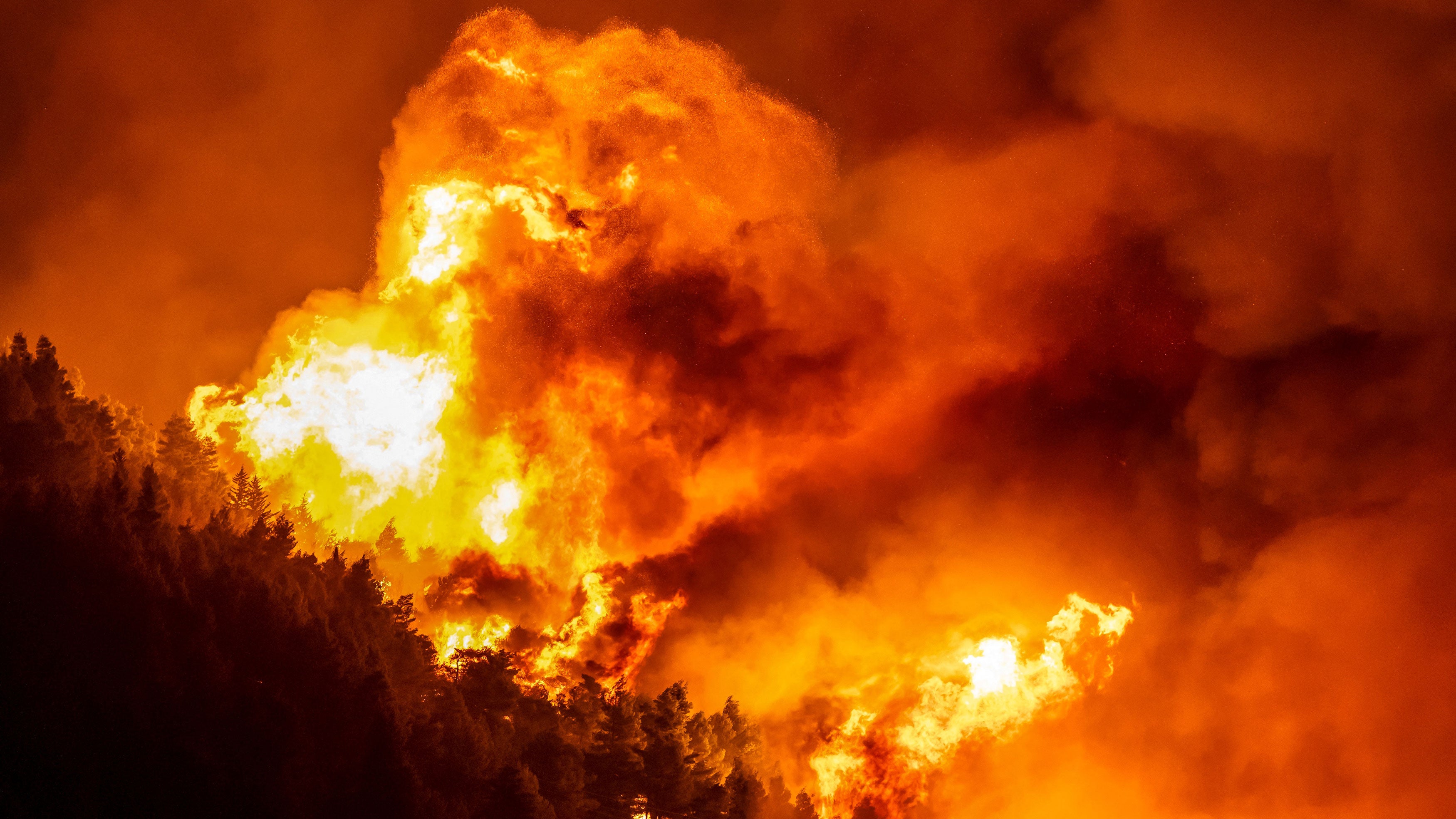 A wooden area engulfed in flames during a raging wildfire near the town of Omis, Croatia on Friday, Aug. 14, 2026. Croatian firefighters battled overnight with "one of the worst" wildfires in the country's history, as flames engulfed homes and injured 19 people on the coast. Hundreds were forced to evacuate.